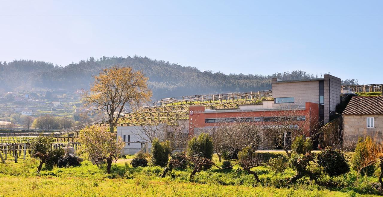 Ruta de Albariño (y más) por las Rías Baixas